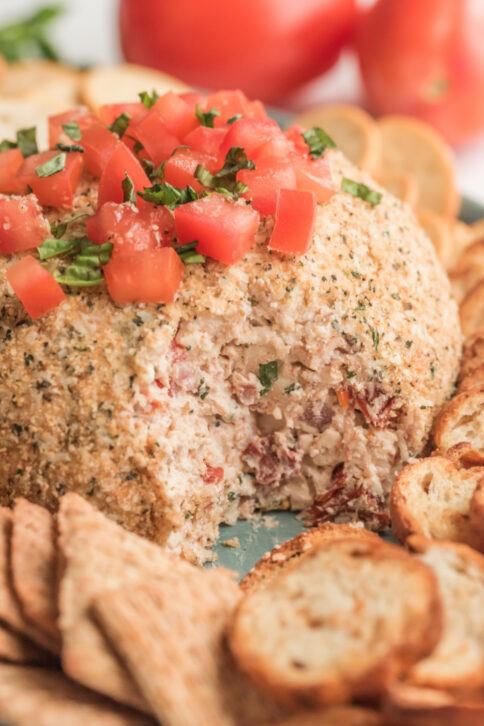 Bruschetta Cheese Ball on a plate with crackers