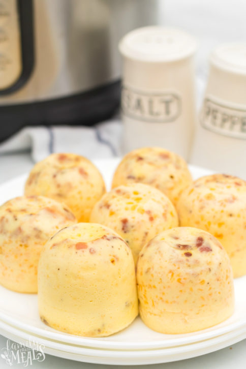 Instant Pot Bacon Cheddar Egg Bites - Family Fresh Meals